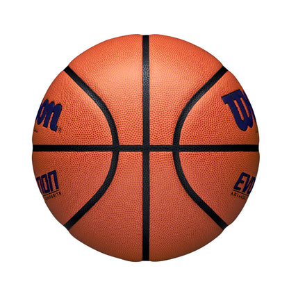 Wilson Evolution Basketballs